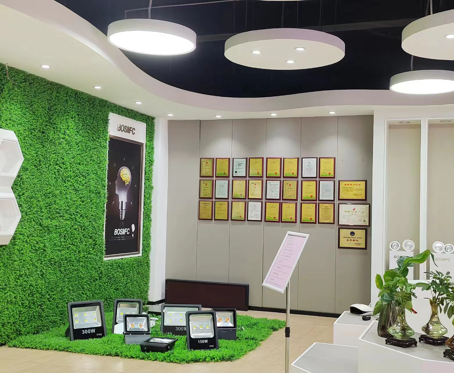 चीन Dongguan Lanjin Optoelectronics Co., Ltd. कंपनी प्रोफाइल