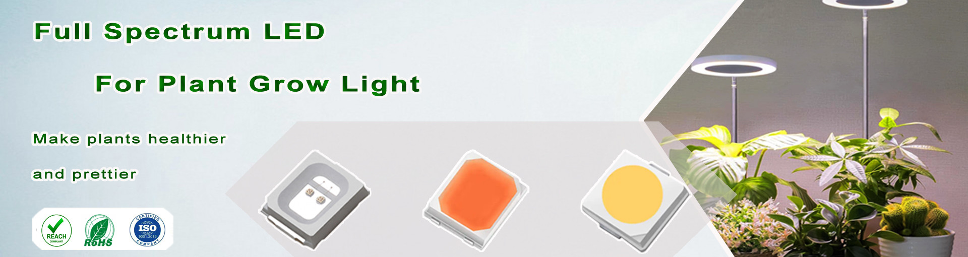 गुणवत्ता शीर्ष एसएमडी एलईडी फैक्टरी