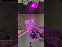 2835 एसएमडी एलईडी पीसीबी पूर्ण स्पेक्ट्रम सीओबी पौधों के लिए एलईडी वृद्धि प्रकाश