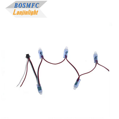 आरजीबी फुल कलर पिक्सेल वाटरप्रूफ WS2811 पिक्सेल डिजिटल एड्रेस करने योग्य एलईडी ग्लोब स्ट्रिंग लाइट्स 12 मिमी डीसी 5 वी