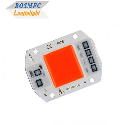 व्यावहारिक पूर्ण स्पेक्ट्रम सीओबी एलईडी चिप 50W 100W इनडोर प्लांट ग्रो लाइट के लिए